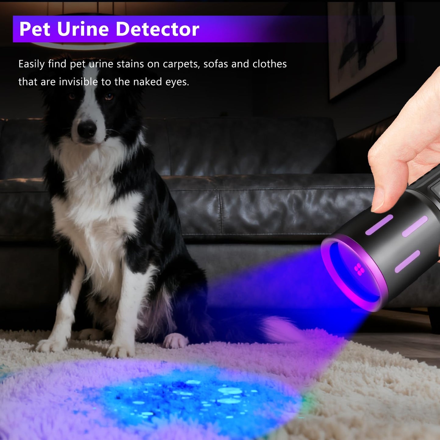 XLENTGEN 365NM UV Flashlight for Antique and Coin Detection
