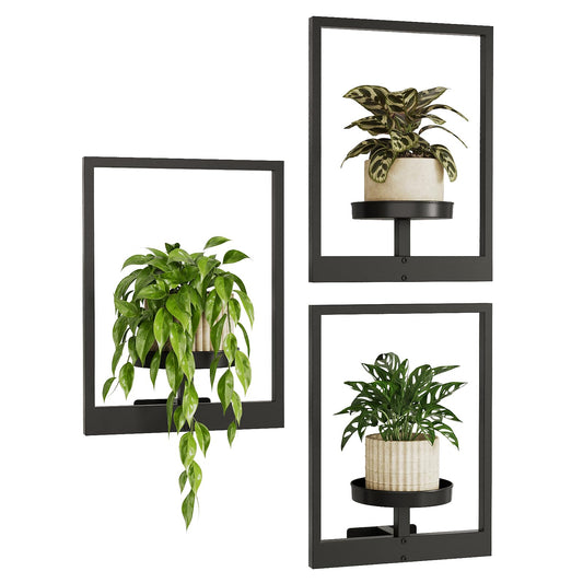 Bamworld 3 Piece Hanging Planters for Indoor Plants Wall Decor Living Room Plant Stand